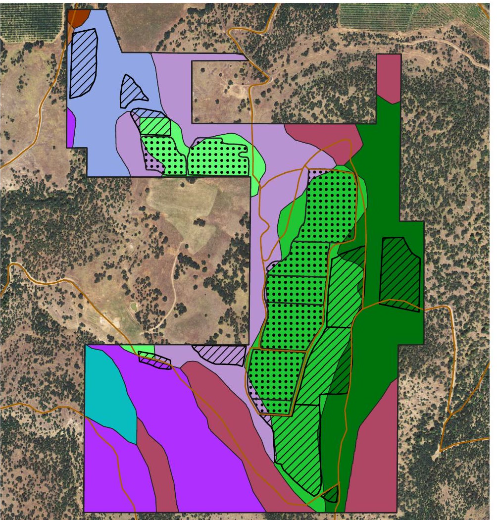 Windhorse Vineyard soils map