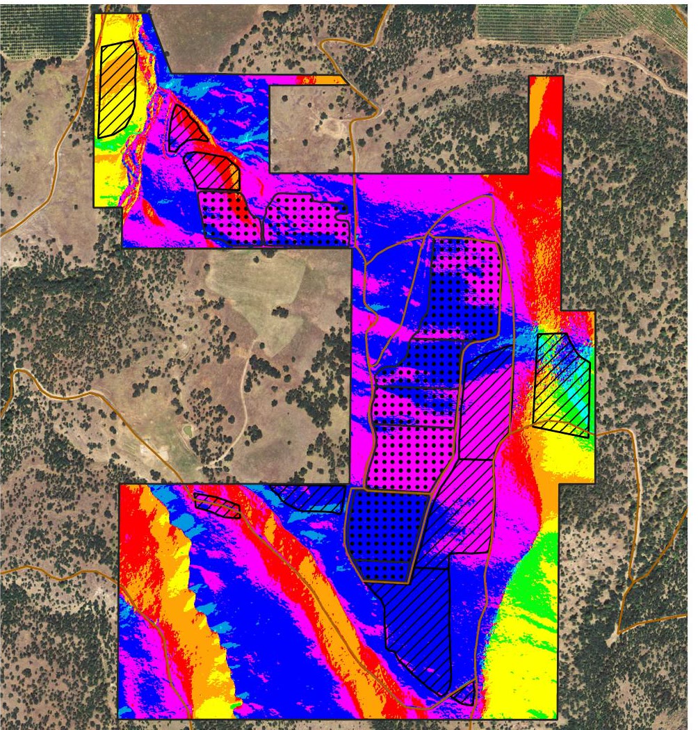Windhorse Vineyard aspect map
